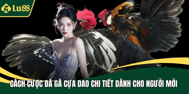 Cách cược đá gà cựa dao