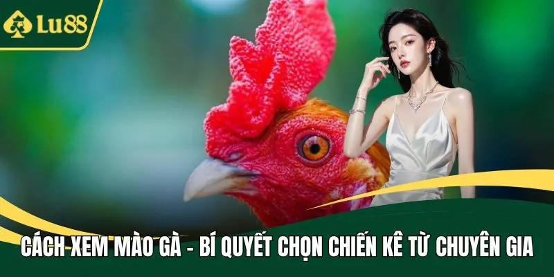 cách xem mào gà