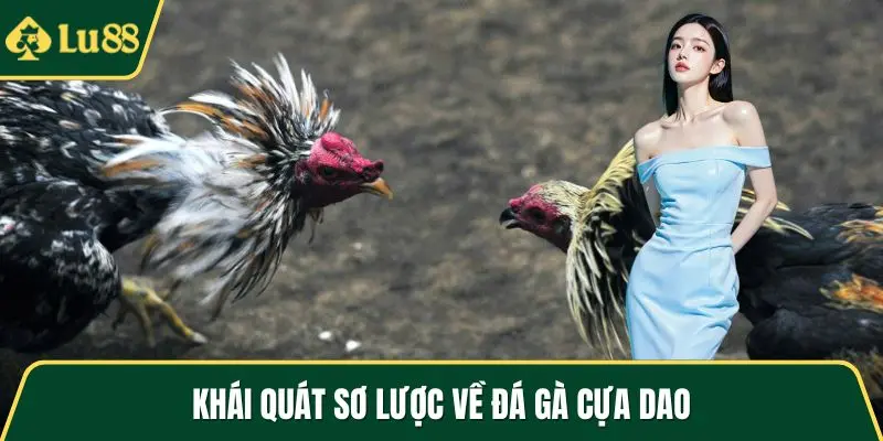 Khái quát sơ lược về đá gà cựa dao